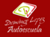 Autoescuela Domingo López