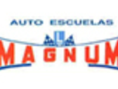 Autoescuela Magnum