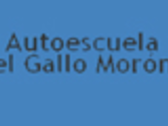 Autoescuela El Gallo Moron